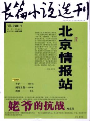 長(zhǎng)篇小說選刊